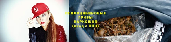apvp Алексин