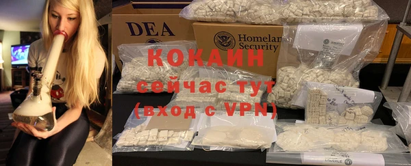 apvp Алзамай